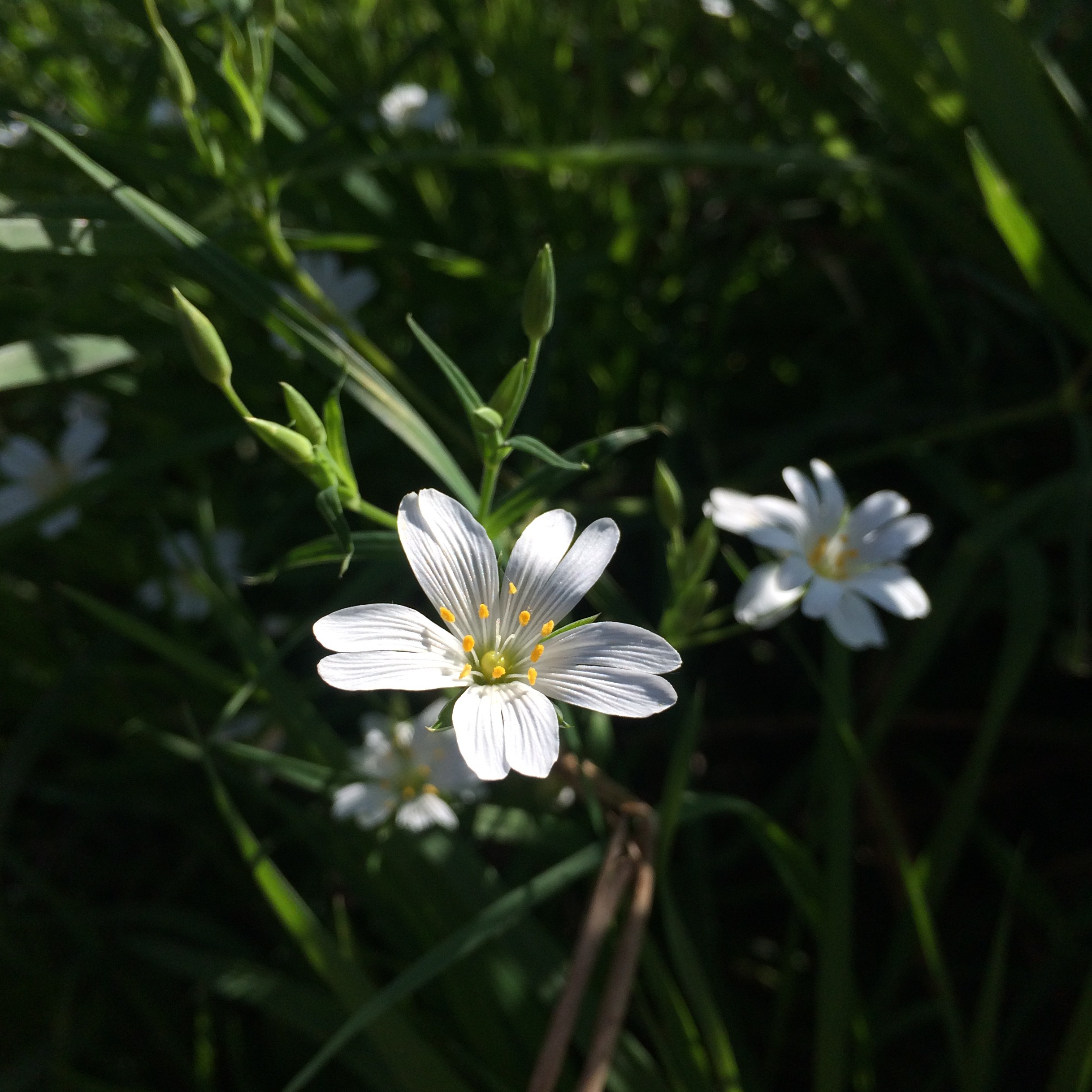 Your personal fashion blog